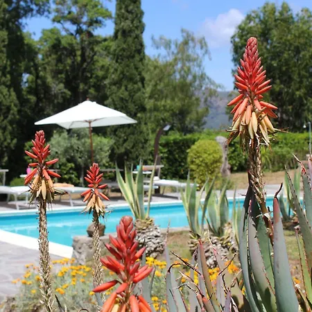 Scenic In Capoliveri With Swimming Pool Capoliveri (Isola d'Elba)